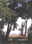 Park