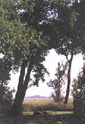 Park